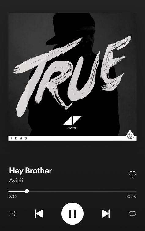 Avicii Hey Brother, Hey Brother, Avicii, Billie Eilish, Songs, Music, Movie Posters, Art, Film Posters