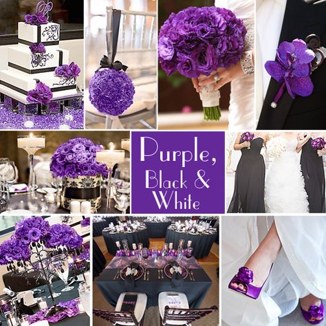 For lovers of purple, the combination of Purple with Black and White is sophisticated and striking. It works especially well for fall and winter weddings. Purple Black And White Wedding, Purple And Black Wedding, Black Wedding Theme, Wedding Color Combinations, Black And White Wedding Theme, Purple Wedding Theme, Wedding Colors Purple, Wedding Purple, White Wedding Theme