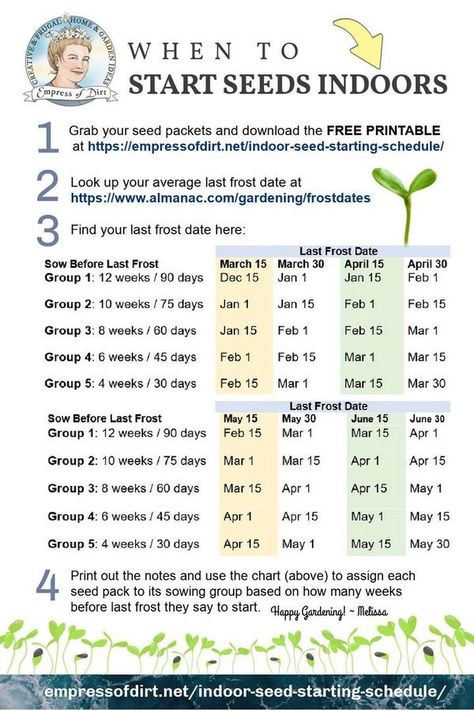 Attainable Sustainable with Kris Bordessa Seed Starting Chart, When To Start Seeds Indoors, Seed Starting Calendar, When To Start Seeds, Indoor Seed Starting, Start Seeds Indoors, Planting Calendar, Starting Seeds Indoors, Witch Garden