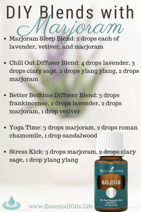 20+ Marjoram Essential Oil Uses and Benefits (Plus FAQ) Marjoram Essential Oil, Essential Oil Education, Essential Oils For Pain, Essential Oil Diffuser Blends Recipes, Essential Oil Blends Recipes, Herbal Healing, Essential Oil Benefits, Essential Oil Diffuser Blends, Essential Oil Roller