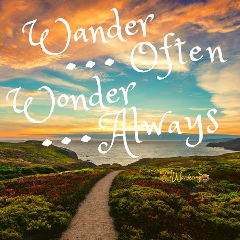 Wander Often...Wonder Always! This quote describes a strong desire to wander and explore the world. Being curious about what's happening along the way provides meaning to what we are seeing. Wander Quotes, Wanderer Quotes, Dream Boat, Vbs 2023, Boat Life, Be Curious, Find Your Way, Wonder Quotes, Need A Vacation