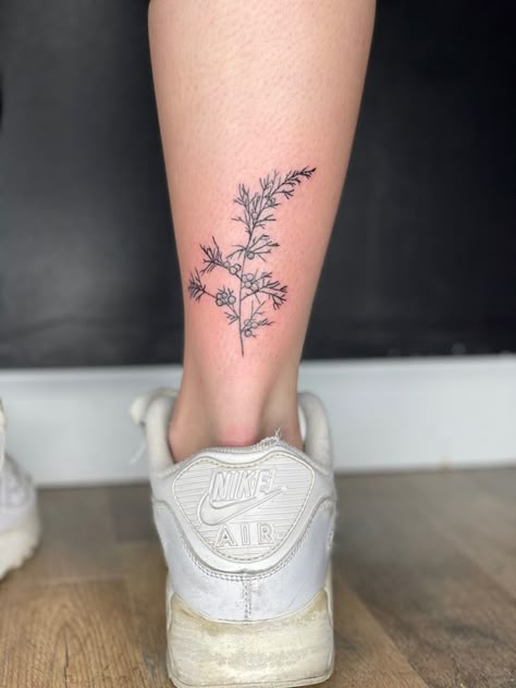 Juniper branch tattoo @dreamlandtattoo on insta Juniper Flower Tattoo, Juniper Bush Tattoo, Juniper Sprig Drawing, Juniper Branch Drawing, Juniper Leaf Tattoo, Juniper Tattoo Branches, Juniper Tattoo Meaning, Pine Sprig Tattoo, Juniper Berry Tattoo