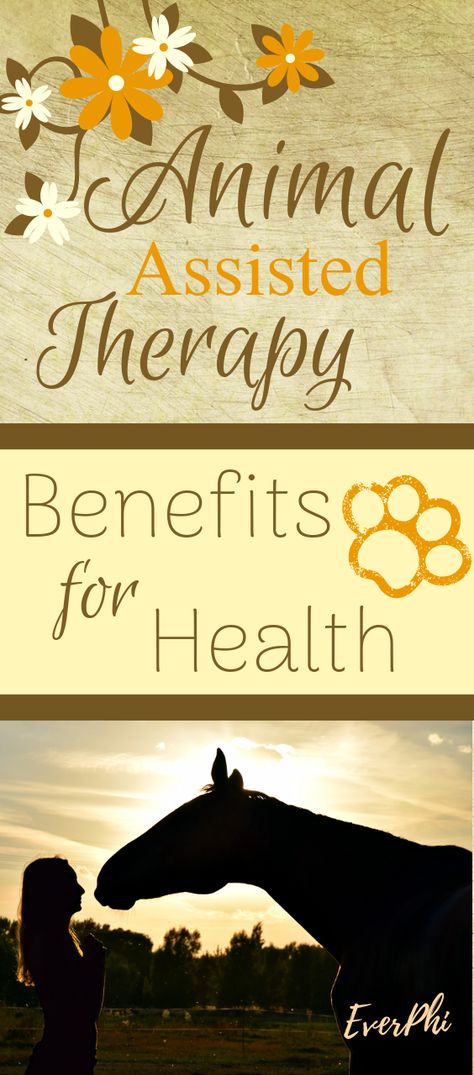 What is Animal Assisted Therapy ? Animal Assisted Therapy  (AAT) is a methodology designed to improve the cognitive, physical, social and emotional functioning of a patient, with specific objectives and, delimited over time. The AAT includes all the programs to be reached, that propose a therapeutic goal with the participation of joint therapy (animal-patient-therapist). Animal Therapy Activities, Animal Assisted Therapy, Animal Therapy, Therapy Benefits, Therapy Dog Training, Animal Activities For Kids, Animal Yoga, Animal Reiki, Equine Therapy