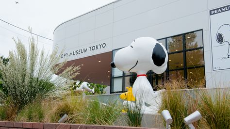 5 Reasons to Visit the New Snoopy Museum in Roppongi Snoopy Museum, Santa Rosa California, Souvenir Store, Roppongi, Museum Displays, Tokyo 2020, Tokyo Travel, Snoopy Woodstock, Classic Comics