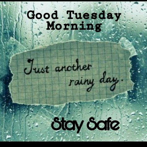 Tuesday Rainy Morning, Rainy Tuesday Mornings, Rainy Tuesday, Good Morning Rainy Day, Rainy Day Quotes, Tuesday Greetings, Tuesday Blessings, Morning Tuesday, Week Quotes