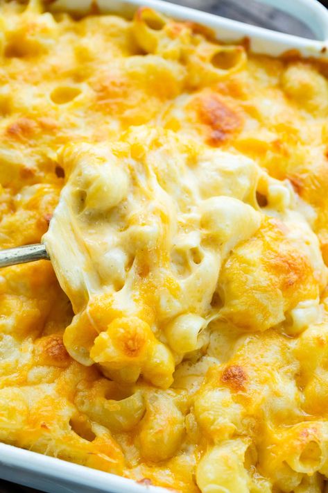 Gooey Baked Mac And Cheese, Sour Cream Mac And Cheese, Baked Southern Mac And Cheese, Mac And Cheese Recipe Sour Cream, Cream Cheese Mac And Cheese, Gooey Mac And Cheese, Southern Mac N Cheese, Best Southern Mac And Cheese, Mac And Cheese Southern