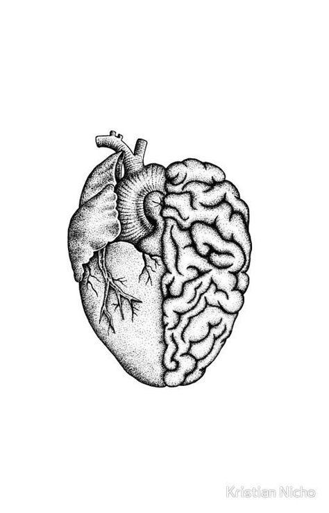 Heart And Brain, Human Heart, Anatomy Art, Tattoo Inspo, Drawing Ideas, Skeleton, Body Art, Anatomy, Piercings