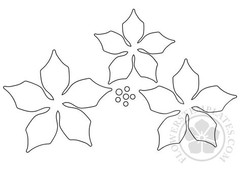 Pointsetta Drawing Simple, Fabric Poinsettia Pattern, Poinsettia Template Free Printable, Felt Poinsettia Pattern, Poinsettia Flower Template, Poinsettia Coloring Page, Poinsettia Illustration, Poinsettia Template, Poinsettia Leaves