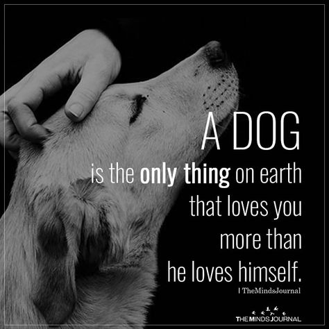 2. A dog is the only thing on earth that loves you more than you love yourself. – Josh Billings Puppies Names Female, Animal Lover Quotes, Cute Dog Quotes, Dog Lover Quotes, About Dogs, Girl And Dog, Animal Quotes, Dog Quotes, Pet Names