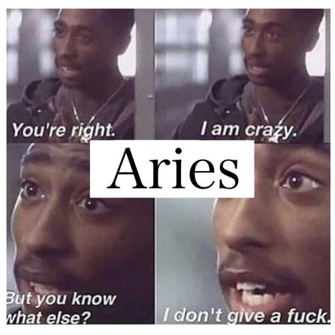 Scorpio Meme, Taurus Zodiac Quotes, Taurus Memes, Virgo Memes, Aries And Scorpio, Taurus And Scorpio, Taurus Zodiac Facts, Taurus Quotes, Scorpio Zodiac Facts