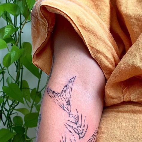 ℜ𝔞𝔠𝔥𝔢𝔩 𝔉𝔦𝔫𝔢𝔩𝔩𝔦 on Instagram: "witchy fish bone wrap!! ty ty @_linniebinnie!! 🐟☠️🧙 . . . . . . . #brooklyntattoo #nyctattoo #lineworktattoo #blackworktattoo #finelinetattoo #newyorktattoo #fishtattoo #fishbone #fishbonetattoo #skeletontattoo #bonetattoo #freehandtattoo #naturetattoo #botanicalillustration #natureillustration #sleevetattoo" Fish Skeleton Tattoo, Fish Bone Tattoo, Salmon Tattoo, Brooklyn Tattoo, Free Hand Tattoo, New York Tattoo, Nyc Tattoo, Fish Skeleton, Bone Tattoos