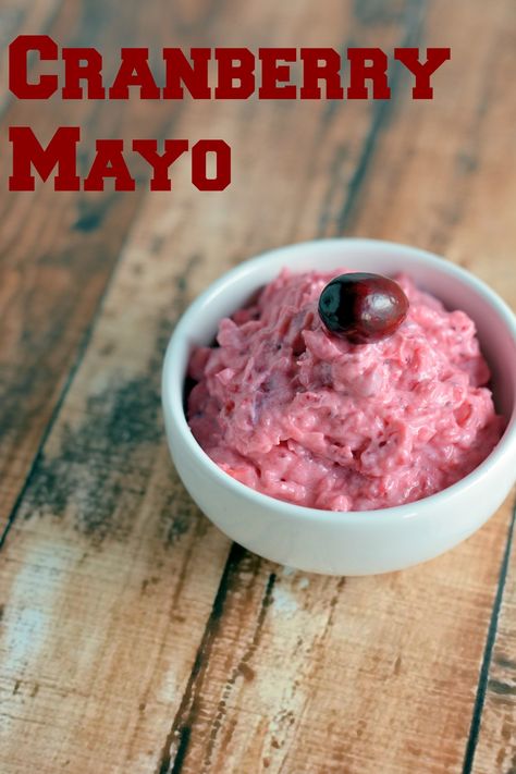 Cranberry Mayo Recipe- a simple condiment made from Thanksgiving Day leftovers. Slather on any sandwich! Cranberry Aioli, Cranberry Mayo, Best Turkey Brine, Turkey Brine Recipe, The Best Turkey, Fall Goodies, Turkey Brine Recipes, Cranberry Relish, Turkey Brine