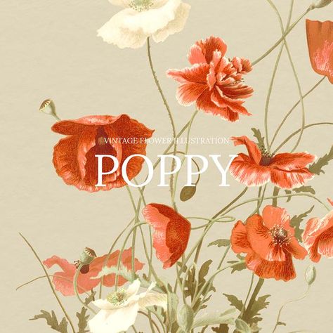 Poppy Background, Floral Template, Watercolor Flowers Pattern, Botanical Tea, Peony Art, Color Pantone, Logo Floral, 2024 Design, Floral Drawing