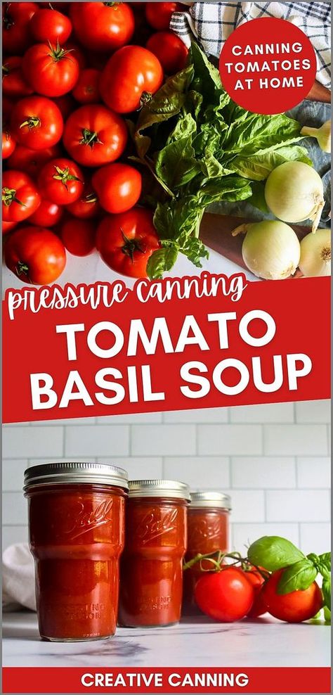 Learn pressure canning tomato basil soup for a cozy fall treat. Made with fresh plum tomatoes, garlic, onions, and basil, this homemade soup is perfect for preserving summer's bounty to enjoy on chilly autumn days. Serve it with grilled cheese for the ultimate comfort meal. Find more easy tomato soup recipes, homemade soup recipes, cozy fall soups, and Pressure Canning Soup Recipes at creativecanning.com. Homemade Tomato Basil Soup For Canning, Canned Tomatoes Soup, Tomato Soup To Can, Tomato Basil Soup Canning Recipe, Tomato Basil Soup For Canning, Canning Tomato Soup Recipe, Canning Tomato Recipes, Pressure Canning Tomatoes, Tomato Canning Recipes