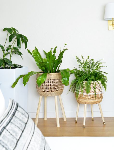 DIY: Woven Basket Plant Stands | Centsational Style Diy Woven Basket, Diy Table Legs, Basket Plant, Diy Hanging Planter, Indoor Tree, Wood Table Legs, Vintage Crate, Modern Plant Stand, Natural Baskets