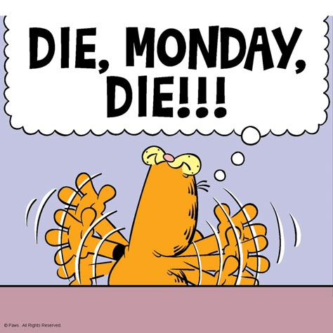 I Hate Mondays Garfield Monday, Hate Mondays Funny, Garfield Quotes, Monday Sucks, Garfield Pictures, Garfield Images, Garfield Cartoon, Garfield And Friends, Garfield The Cat