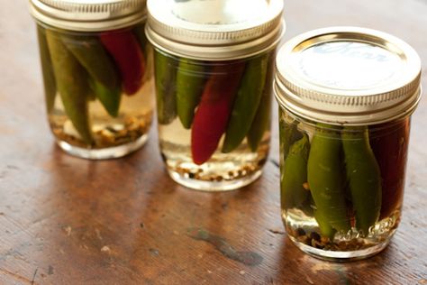 Pickled Serrano Peppers Preserving Chillies, Pickled Serrano Peppers Recipe, Pickled Serrano Peppers, Serrano Pepper Recipes, Feta Stuffed Peppers, Serrano Peppers, Pickled Peppers, Homemade Hot Sauce, Roasted Red Pepper Hummus