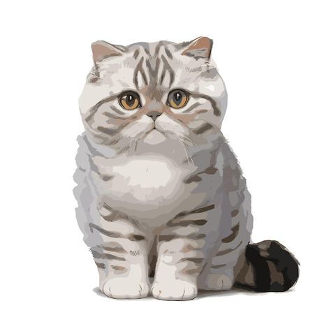 Vector drawing of scottish fold cat with... | Premium Vector #Freepik #vector Scottish Fold Cat Drawing, Scottish Fold Cat, Animal Sketch, Fold Cat, Magic Cat, Scottish Fold, Vector Free Download, Animal Sketches, Vector Drawing