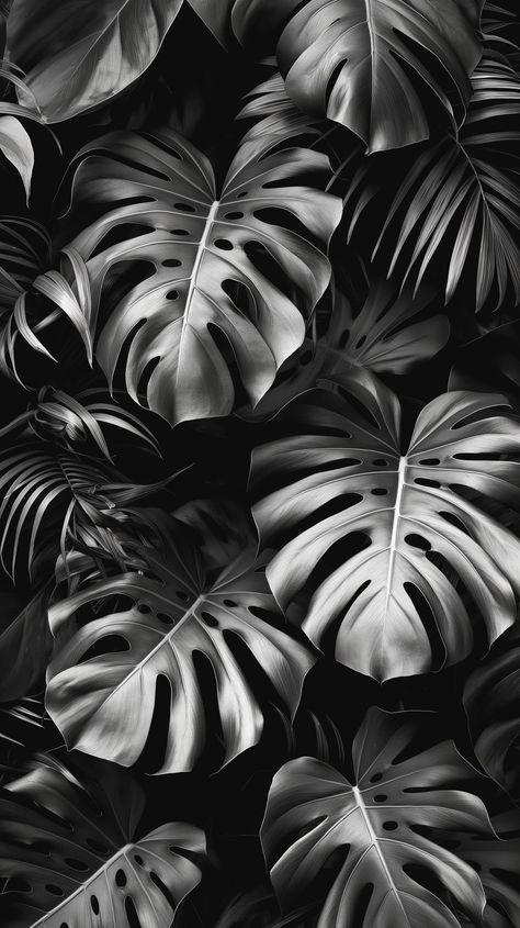 Monstera Photography, Wallpaper Frame, Black And White Tropical, Leaves Photography, Aesthetic Widgets, Animal Photography Wildlife, Leaf Outline, Tattoo Outline Drawing, Leaf Photography