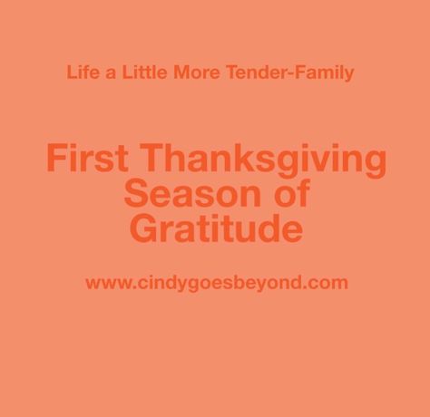 First Thanksgiving – Cindy Goes Beyond My First Thanksgiving Book, The First Thanksgiving, First Thanksgiving, Family First, My Son, My Family, Work On, The One, This Year