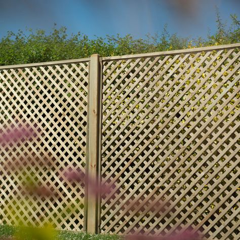 Cheap Trellis, Garden Trellis Panels, Lattice Fence Panels, Expanding Trellis, Panel Trellis, Wood Lattice, Obelisk Trellis, Trellis Fence Panels, Wood Trellis