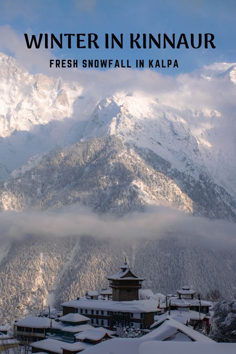 Kalpa is one of the most beautiful places in Himachal. I had been to Kalpa many times before but had never experienced snow in this region. So this time I checked the weather forecast and planned my trip accordingly. I ended up spending a week in Kalpa and got to witness snowfall for continuous four days. The entire town got covered under almost 3 ft of snow. Fresh Snowfall, Nature Therapy, Mountain Aesthetic, Travel Infographic, Mountain Pictures, Best Nature Wallpapers, Cool Pictures For Wallpaper, Way To Heaven, Shimla