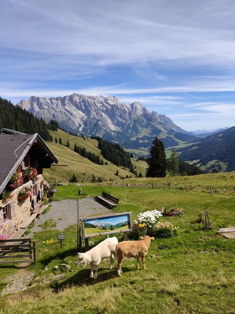 Hochkönig at the Berchtesgadener Alpen Austria - ThorGift.com - If you like it please buy some from ThorGift.com Hiking In Austria, Swiss Alps Hiking, Austria Nature, Hiking Aesthetic, Beautiful Places To Travel, Slice Of Life, Travel Inspo, A Train, Country Life