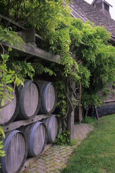 Italian Vineyard, Grape Vineyard, Vineyard House, Wine Vineyards, Italy Wine, Backyard Garden Design, Wine Parties, French Countryside, Wine Enthusiast