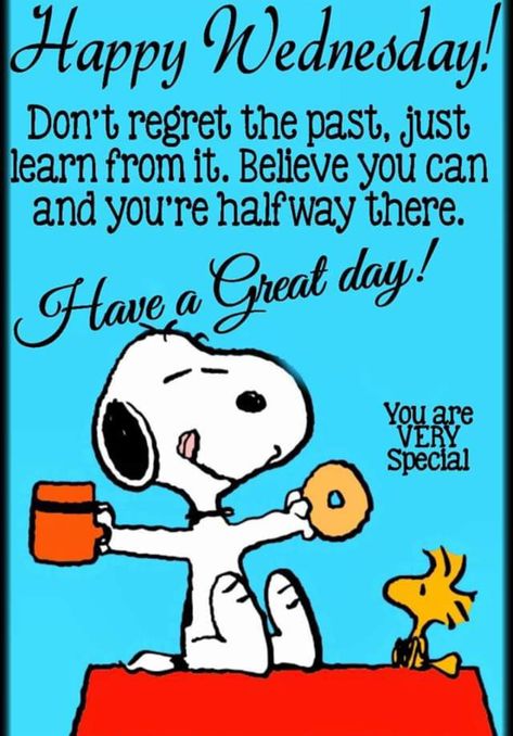 Peanuts Gang Quotes, Snoopy Morning, Snoopy Good Morning, Happy Wednesday Pictures, Happy Wednesday Images, Wednesday Greetings, Charlie Brown Quotes, Wednesday Humor, Good Morning Snoopy