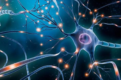 How Neurons That Wire Together Fire Together - Neuroscience News