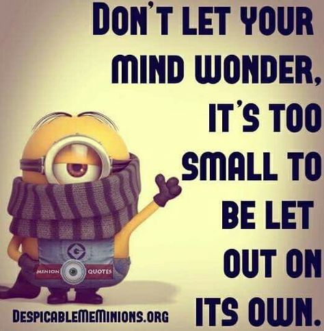 Despicable Minions, Minions Humor, Silly Quotes, Minions Love, A Minion, Dog Jokes, Funny Minion Quotes, Minion Quotes, Minions Quotes