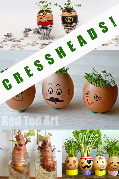 Scientist Experiments, Cress Heads, Chemistry For Kids, Spring Science, Study Activities, Fun Learning Games, 1st Grade Science, Science Club, Outdoor Club