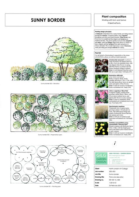 Planting Plan Landscape Architecture, Garden Plan Drawing, Large Front Yard Landscaping, Landscape Layout Plan, Garden Landscape Plan, Planting Design Plan, Front Yard Design Ideas, Landscape Plane, Yard Design Ideas