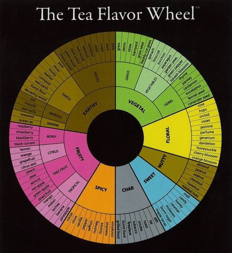 Tea Flavor Wheel : tea Flavor Wheel, Herbal Teas Recipes, Tea Benefits, Tea Garden, Flavored Tea, Tea Blends, Flavor Profiles, Tea Shop, Tea Recipes