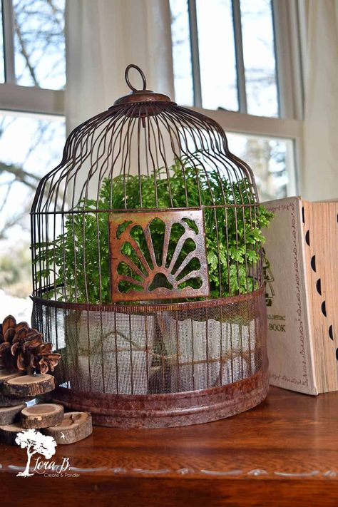 Vintage birdcages have classic architectural appeal. Learn 12 creative ways to decorate them for winter in your home decor. Birdcage Decor Ideas, Vintage Bird Cage Decor, Make A Bird Feeder, Birdhouse Projects, Wooden Bird Houses, Bird House Feeder, Vintage Bird Cage, Bird Cage Decor, Unique Bird Houses