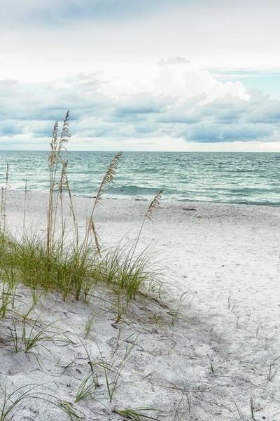 Beach Secrets | Landscape photography nature, Nature photography, Nature photography flowers Beach Scenes Photography, Sky Core, Sea Oats, Photos Black And White, Coastal Theme, Popular Photography, Image Nature, Background Pictures, Beach Scenes