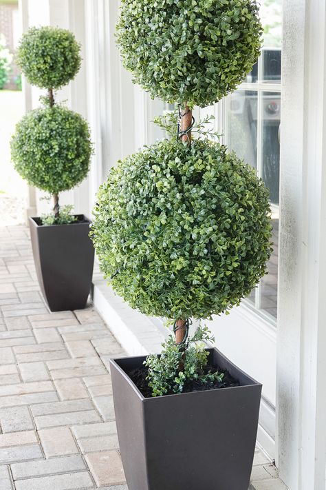 The best outdoor topiaries  #topiairies #outdoortopiaries #pottedtopiaries #poolpatio #patiodecor #outdoordecor Boxwood Topiary Front Porch, Topiary Front Porch, Porch Topiary, Faux Outdoor Plants, Fall Container Plants, Outdoor Topiary, Topiary Diy, Porch Plants, Topiary Plants