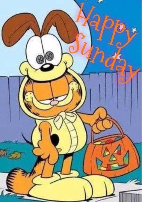 Happy Sunday quotes quote garfield halloween days of the week sunday sunday quotes happy sunday happy sunday quotes Garfield Halloween, Cartoon Character Clipart, Garfield Wallpaper, Garfield Pictures, Garfield Images, Garfield Cartoon, Disney Clipart, Garfield Cat, Garfield Comics