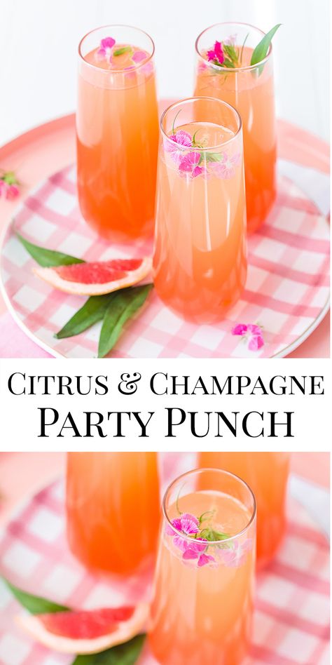 Prosecco Vodka Punch, Champagne Punch Recipes, Bridal Shower Punch, Fruity Party, Brunch Punch, Citrus Party, Bridal Shower Drinks, Citrus Drinks, Yummy Summer Cocktails