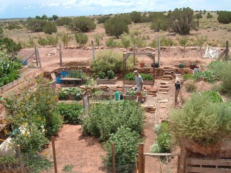 Sustainable Desert Home, Arizona Permaculture, New Mexico Homestead, Arizona Food Forest, High Desert Garden, High Desert Gardening, Desert Farming, Vegan Homesteading, Desert Homesteading