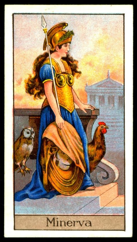 Italian Mythology, Minerva Goddess, Mythological Gods, Fall Of Rome, Roman Myth, Gods Goddesses, Goddess Of Wisdom, World Mythology, Greek Mythology Gods