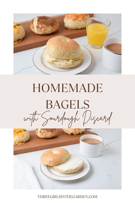 Sourdough Discard Bagels Recipe - Three Girls In The Garden Sourdough Discard Bagels, Discard Bagels, Sourdough Discard Recipe, Pumpkin Bagels, Bagels Recipe, Sourdough Bagels, Discard Recipe, Sourdough Starter Discard Recipe, Homemade Sourdough