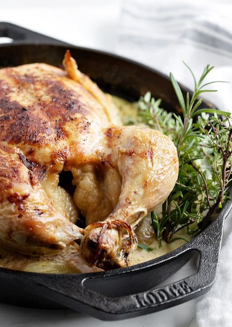 Milk Braised Whole Chicken Braised Whole Chicken, Chicken With Mustard, Braising Recipes, Lemon Roasted Chicken, Recipes For Chicken, Goat Cheese Stuffed Chicken, Whole Chicken Recipes, Meatless Main Dishes, Oven Roasted Chicken