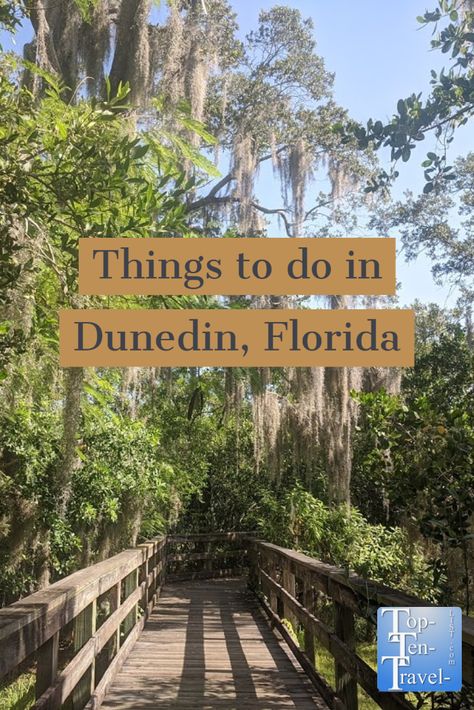 Dunedin Florida Things To Do, Florida Getaways, Florida Beach House Decor, Apollo Beach Florida, Gulfport Florida, Apalachicola Florida, Nature Parks, Palm Harbor Florida, Things To Do In Florida