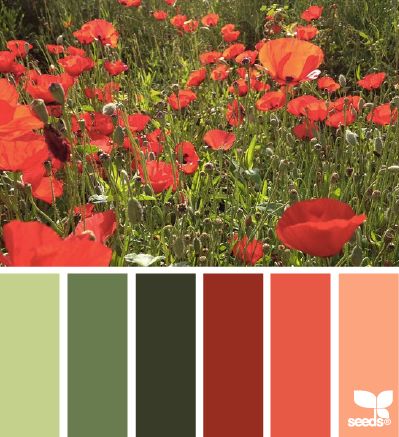 Green Kitchen Decor, Seeds Color, Color Dream, Colour Ways, Red Rooms, Color Palate, Design Seeds, Blog Design, Green Design