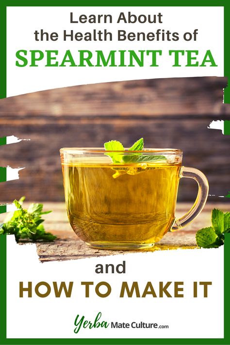 Spearmint Tea is an excellent natural remedy for digestive problems and other health issues such as acne and polycystic ovary syndrome (PCOS). Read this guide and learn more about the benefits of spearmint tea and how to make this healthy herbal tea at home. #spearmint #herbalteas Spearmint Recipes, Benefits Of Spearmint, Spearmint Tea Benefits, Tea Blends Recipes, Spearmint Tea, Tea At Home, Digestive Problems, Homemade Tea, Herbal Teas Recipes