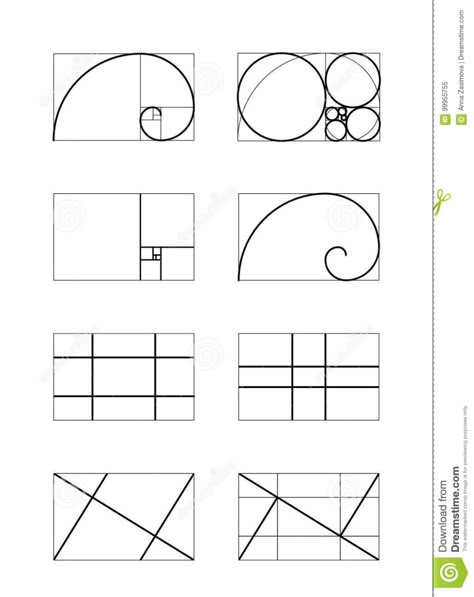 Dynamic Composition Illustration, Harmony Composition, Math Circle, Golden Ratio Art, Golden Ratio In Design, Golden Ratio Logo, Harmony Design, Dynamic Lines, Dynamic Composition