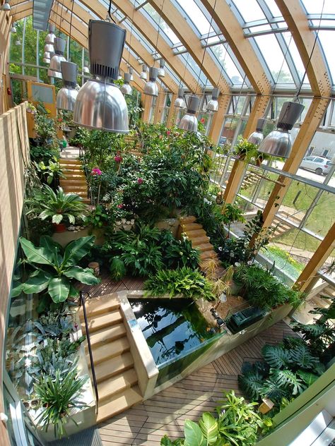 Tartu Nature House | Activities & Leisure | Tartu Tiny House Greenhouse, Greenhouse Connected To House, Green House Architecture, Greenhouse Kitchen, Earthship Biotecture, Greenhouse Home, Nature House, Aesthetic Interior Design, Earthship Home