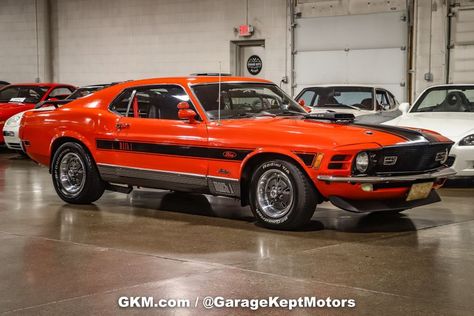 72 Mustang Mach 1, 1970 Ford Mustang Fastback, 1970 Ford Mustang Mach 1, Ford Mustang Shelby Cobra, 1971 Mustang Mach 1, Muscle Cars Mustang, 1970 Mustang Mach 1, 1970 Ford Mustang Boss 302, 1970 Ford Mustang