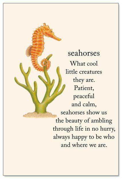 Time Symbol, American Quotes, Flower Meanings, Symbols And Meanings, Spiritual Symbols, About Animals, One Day At A Time, Seahorses, Flower Quotes